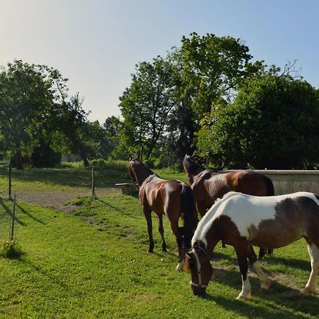 Farm Stay Zevnik Брежице Экстерьер фото