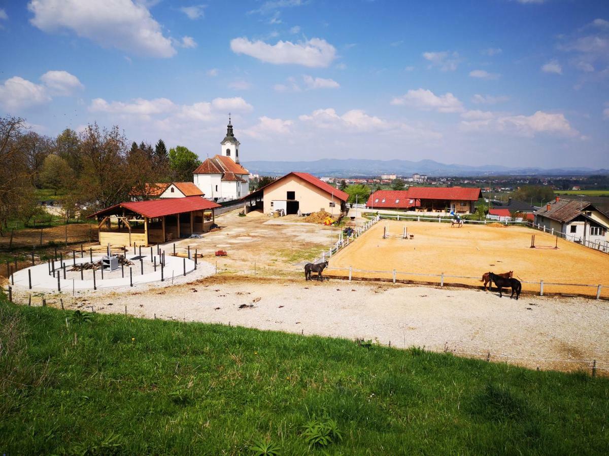 Farm Stay Zevnik Брежице Экстерьер фото